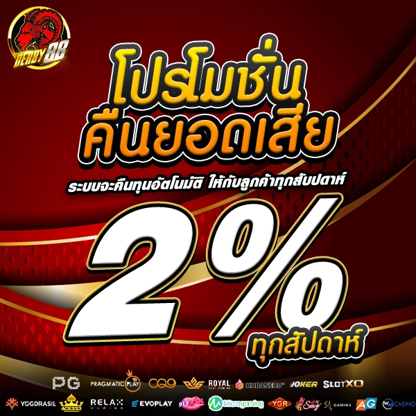 โปรโมชั่น VIP